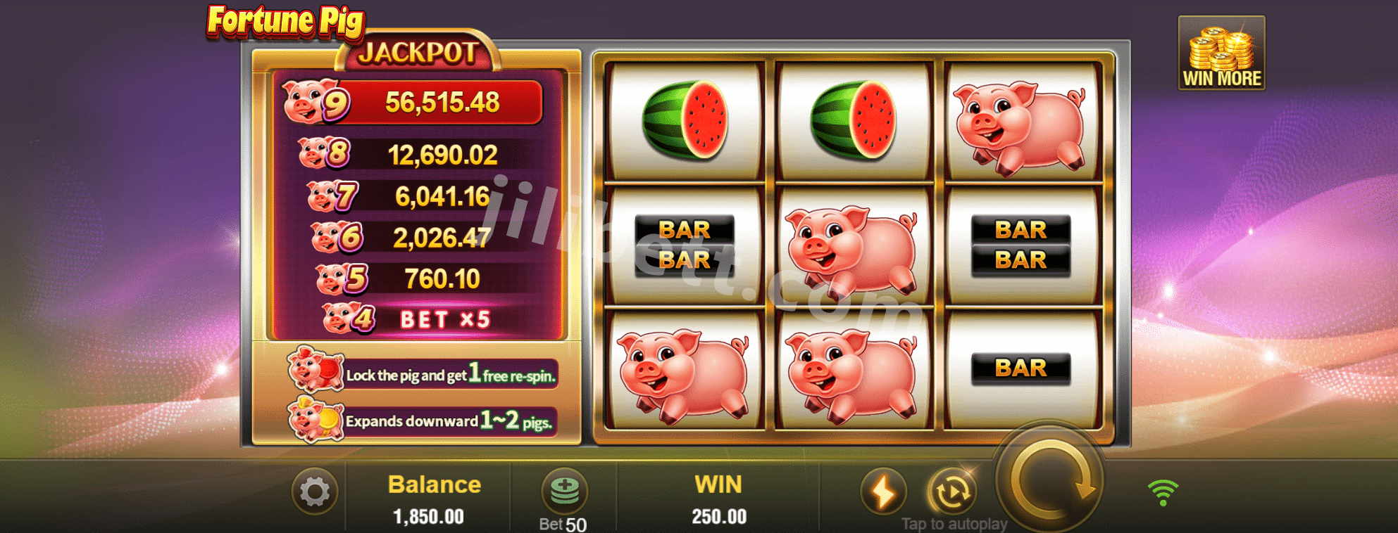 Fortune Pig Interface